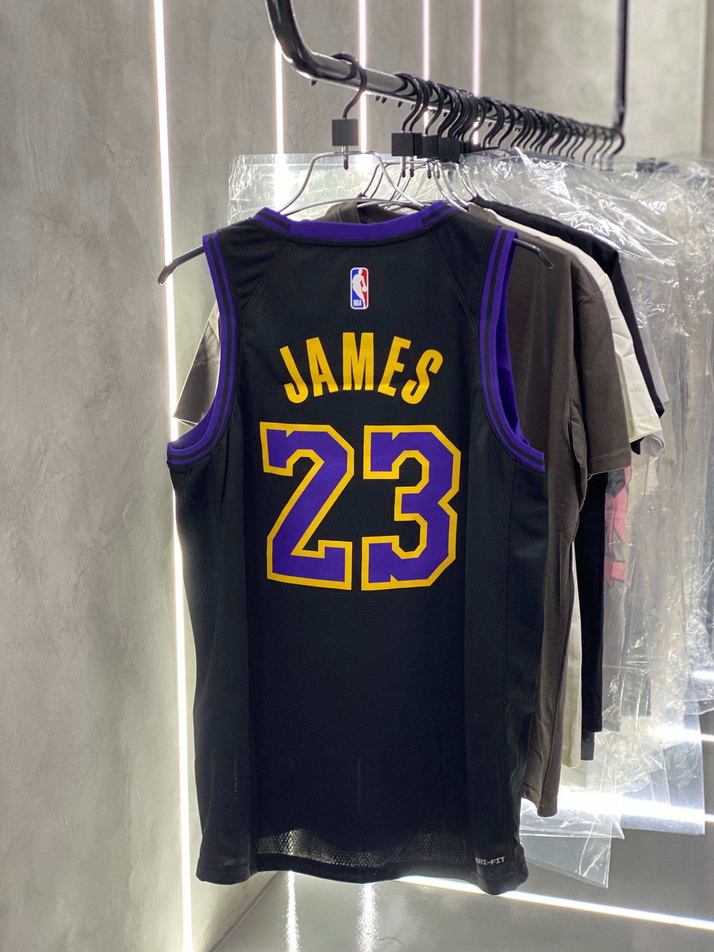 LeBron James Los Angeles Lakers 2023/24 City Edition (Players Edition)